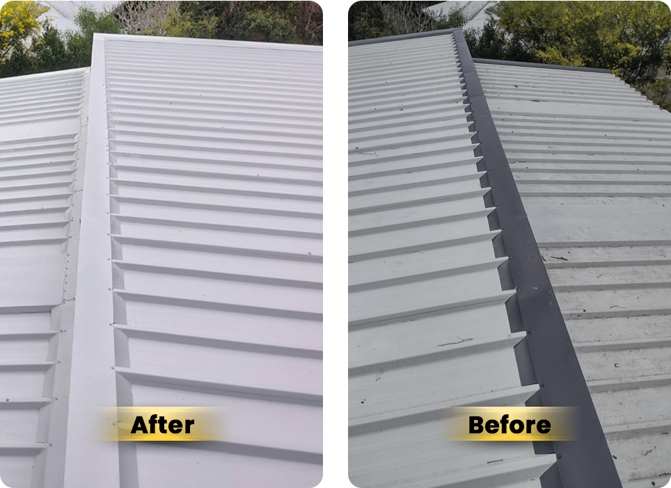 Heat Reflective Roof Paint